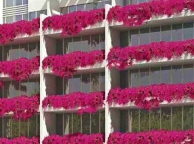 Квартиры Monte Carlo Residence фото 2 Квартиры Monte Carlo Residence фото 2