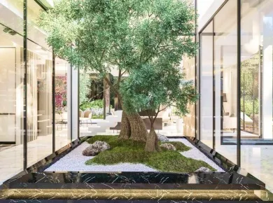 Виллы Chorisia Villas фото 3