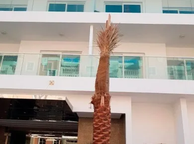 Квартиры Saleh Bin Lahej Building фото 2 Квартиры Saleh Bin Lahej Building фото 2