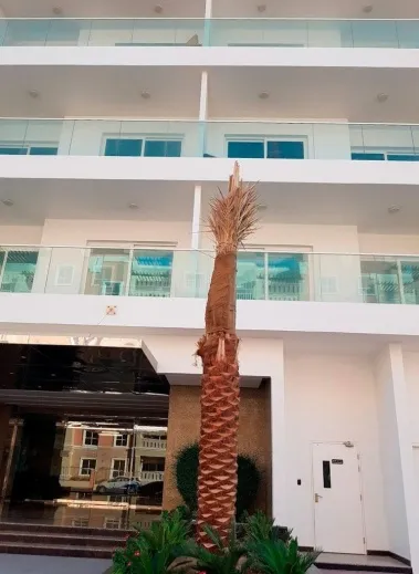 Квартиры Saleh Bin Lahej Building фото 2