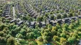 Виллы Masaar Sequoia фото 4