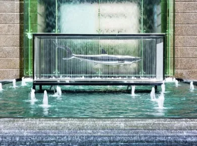 Квартиры Ritz Carlton фото 3