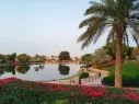Таунхаусы Arabian Ranches Alma фото 2 Таунхаусы Arabian Ranches Alma фото 2