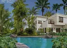 Shoumous Properties