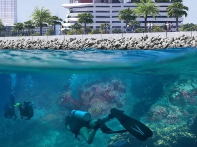 Квартиры Damac Coral Reef at Dubai Maritime City фото 2