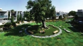 Виллы Mada'in Square at Sharjah фото 6
